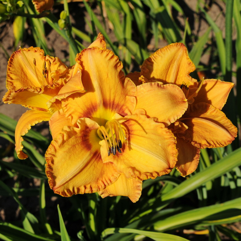 Фото 9
